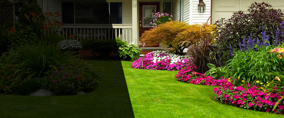 Summerville Landscapers